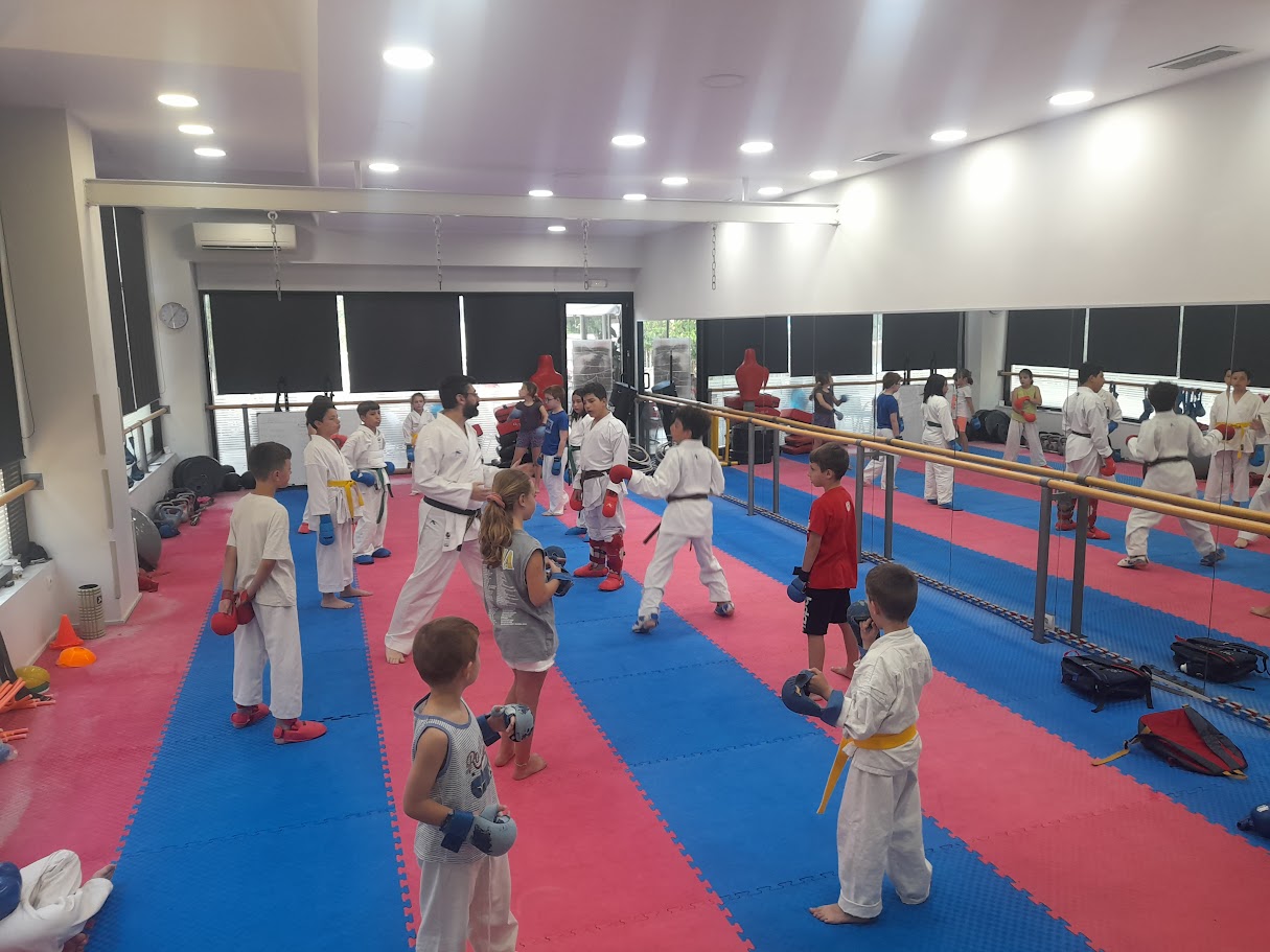 Καθημερινή προπόνηση στο dojo
